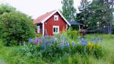 Idyllisk liten hästgård 3,5 mil öster om Uppsala uthyres Idyllisk liten hästgård 3,5 mil öster om Uppsala uthyres