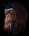 Boende med stallplats Boende med stallplats