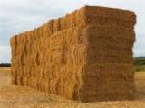 1000 Ton halm 1000 Ton halm