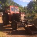 Massey Fergusson 185 Massey Fergusson 185