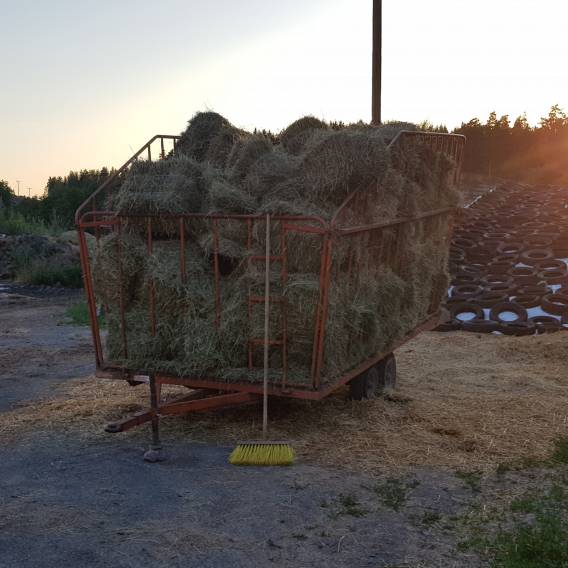 hö i småbal hö i småbal