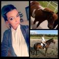 Stallplatser med boende Stallplatser med boende