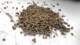Höpellets Höpellets