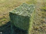 Superfint Hösilage Superfint Hösilage