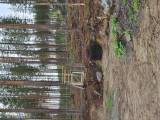 Lappgetter genbank Lappgetter genbank