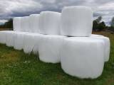 Höensilage 2019 Höensilage 2019