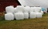 Hösilage 2020 Hösilage 2020
