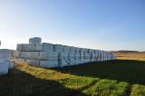 Ensilage Ensilage
