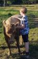 Dexter