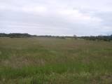 14 Ha Åker. Skog& Bete 17 km Sv Kristianstad 14 Ha Åker. Skog& Bete 17 km Sv Kristianstad