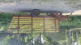 Strautman